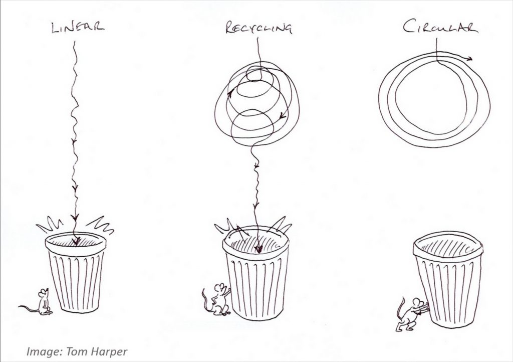 circular economy more than recycling