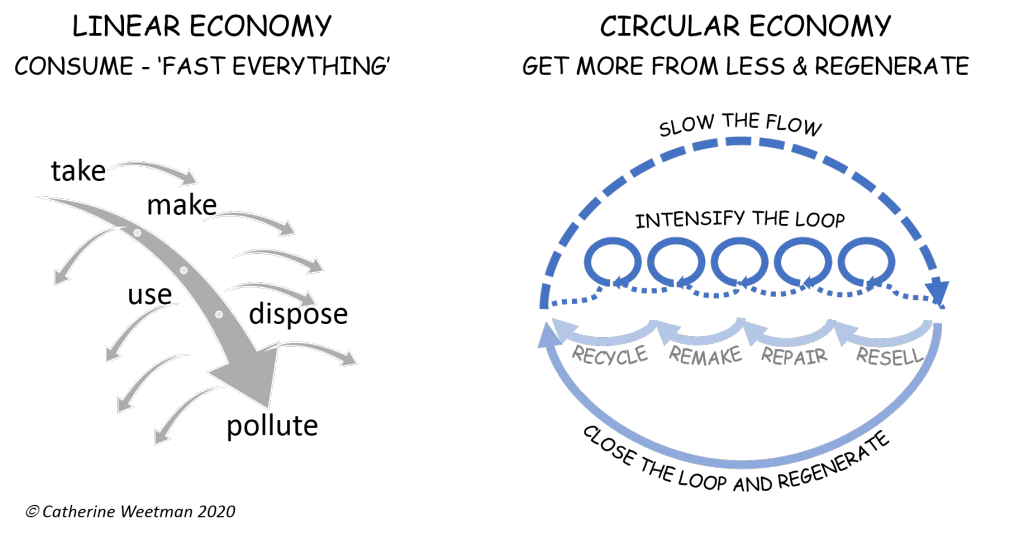 Linear vs circular economy