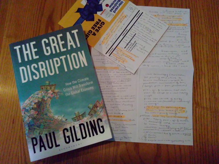 The Great Disruption by Paul Gilding
