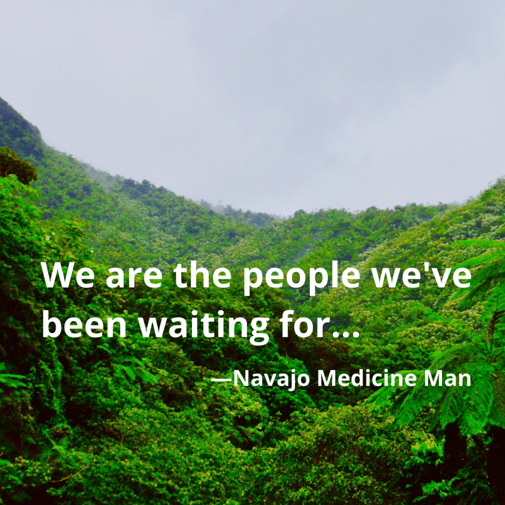 "We are the people we've been waiting for" - Navajo medicine man's saying