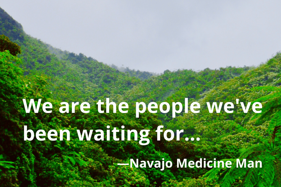 "We are the people we've been waiting for" - Navajo medicine man's saying
