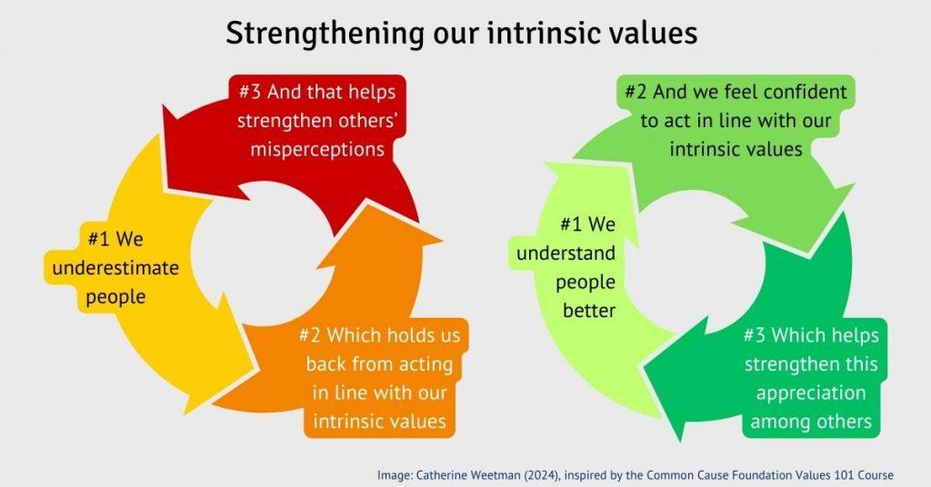 Image to show two feedback loops that strengthen extrinsic or intrinsic values